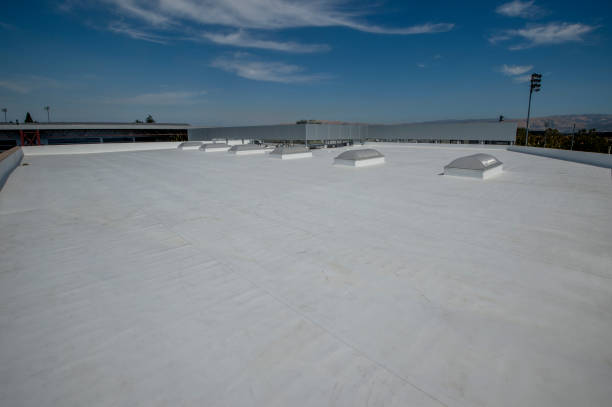 Best Roof Maintenance and Cleaning  in Lakewood Clu, MI