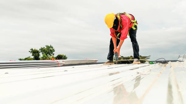 Best Metal Roofing Installation  in Lakewood Clu, MI