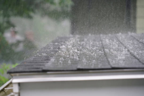 Best Skylight Installation and Repair  in Lakewood Clu, MI