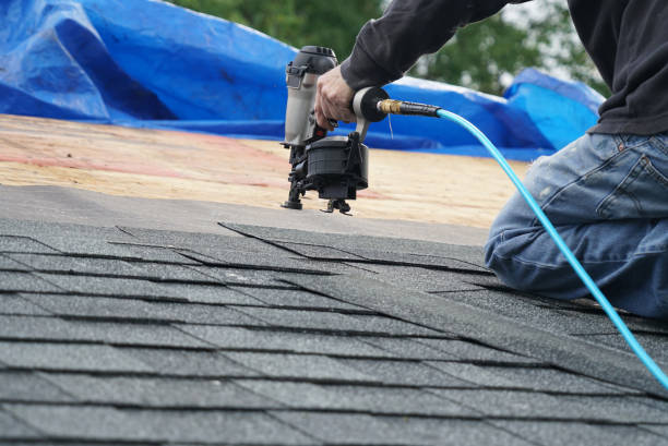 Asphalt Shingles Roofing in Lakewood Clu, MI