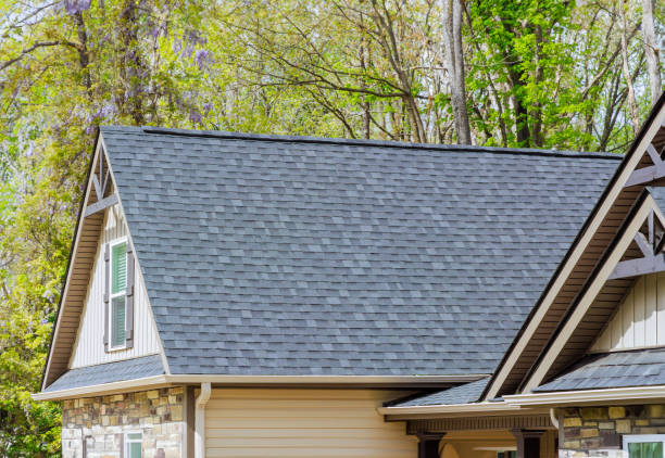 Best Chimney Flashing Repair  in Lakewood Clu, MI
